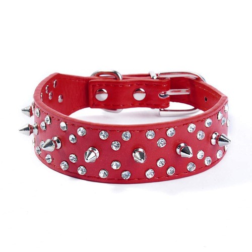 Collare per cani - con, a