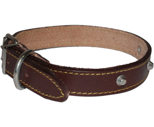 Collare cane cuoio cucito - collare,