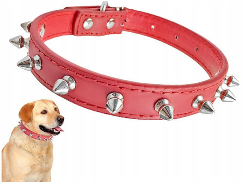 Collare cane rosso con borchie - collare,