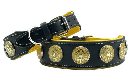 Collare per cani borchiato - collare,