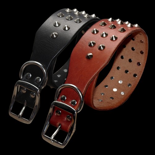Pelle collare cuoio borchie - collare,