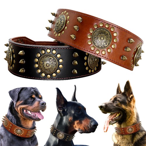 Collare per cane cuoio - in, con