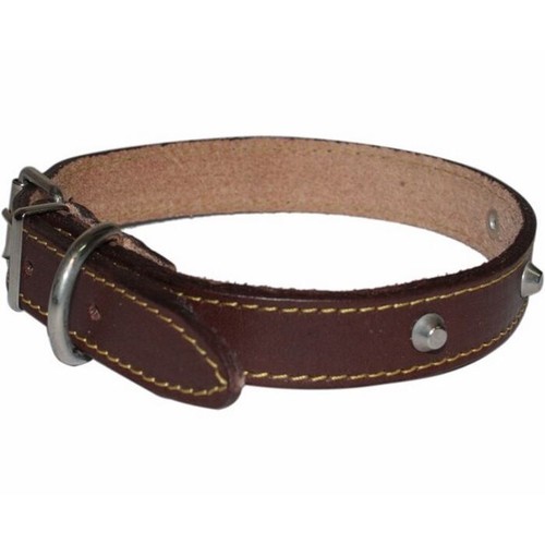 Collare cuoio con borchie - cuoio,