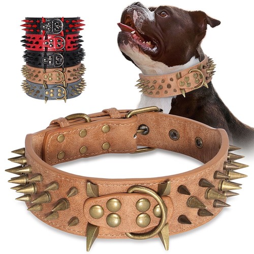 Collare per cani - con, a