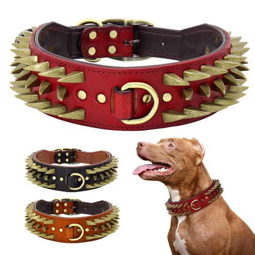 Collare per cani con borchie - , a