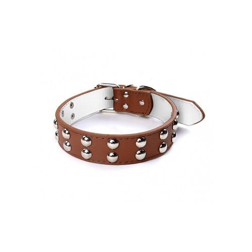 Collare con borchie - collare,