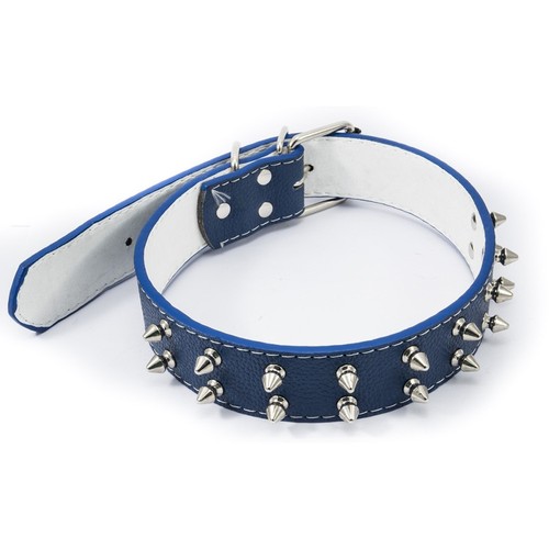 Collare per cane - collare, borchie