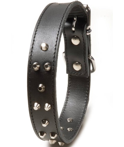 Collare con borchie - , pelle