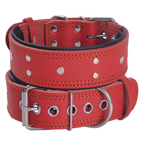 Rosso collare per cani con - per,
