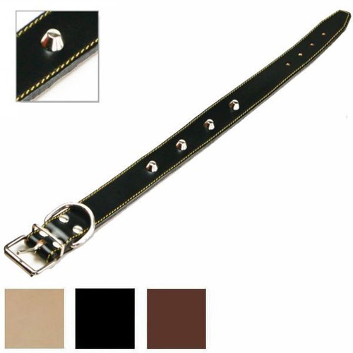 Collare cani cuoio borchie - collare,