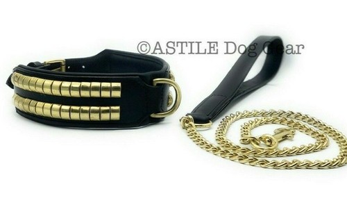 Set collare catena pelle - collare,