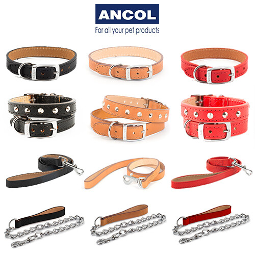 Ancol collare per cani - ancol,