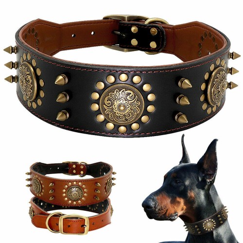 Collare pelle con borchie a - collare,