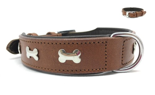 Collare per cane cani - collare,