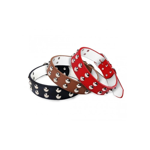 Collare cane taglia grande con - taglia,