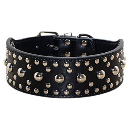Collare unisex per - collare, cani