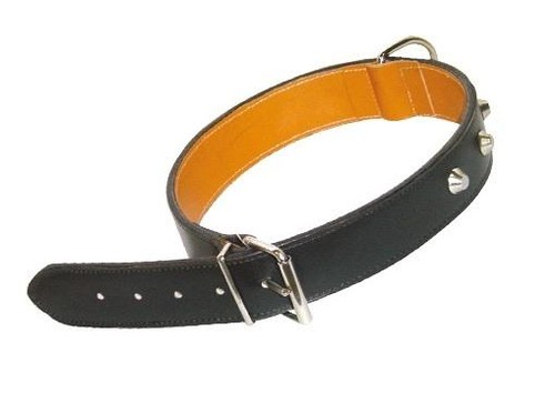 Collari collare cuoio - collari,