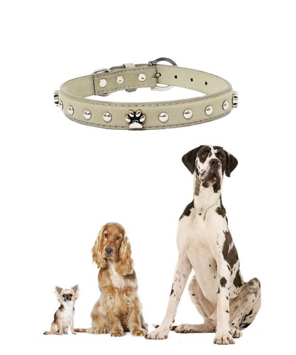 Collare per cani similpelle - cani,