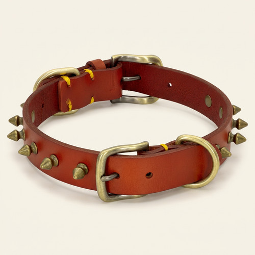 Collare pelle cani - collare,